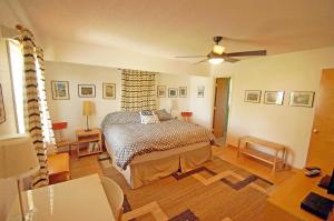 CH245-Salty Shenanigans