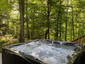 Designer Getaway-Hot Tub, 4 Minutes to Dahlonega
