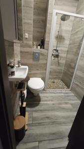 Appartements Appartement Selestat centre : photos des chambres