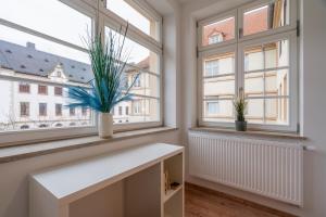 Traumhaftes Apartment mitten in Halle an der Saale No2