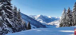 Boutique - Apartments Tauernblick