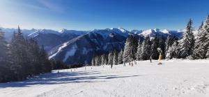 Boutique - Apartments Tauernblick