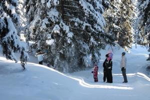 Thyon 4pièces, magnifique vue