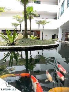 Kuching BDC Rex Apartment Near KPJ