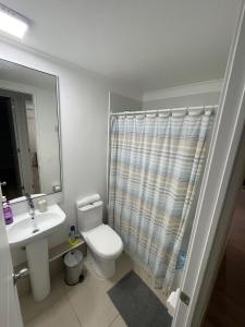 Departamento Papudo, Punta Puyai