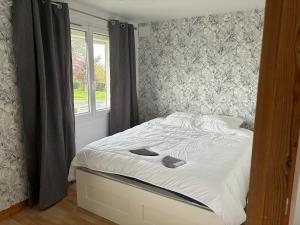 Maisons de vacances La Gravelinoise : photos des chambres