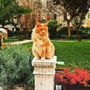 Cinqueteste Luxury Home