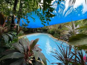 Princess Muffin Resort