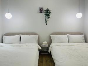 Moyo stay 모요스테이