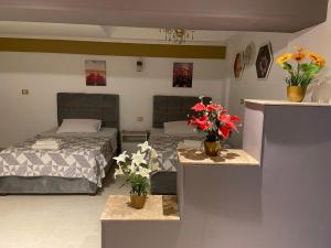 New Cairo cozy furnished