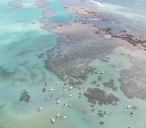 Vila de Ponta - Xeréu