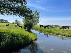 Statelan Logies, sfeervol en luxe ingericht vakantiehuis met 2 slaapkamers in het hart van friesland