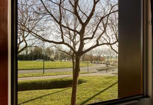 Hotels B&B HOTEL Marne-la-Vallee Val d-Europe : photos des chambres