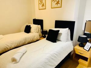 Bright 5-Bedroom Apartment in the Heart of the City