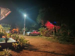 Coorg Coffee Park Farmstay