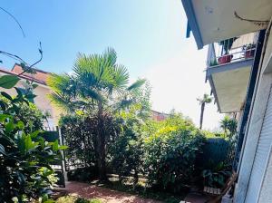 Villeggiatura Marina di Carrara