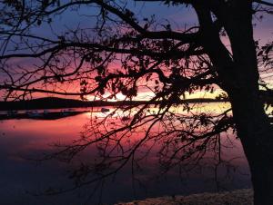 Apartments Burle Vista Medulin