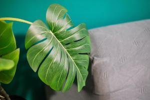 Centro di Milano-Elegante appartamento a 5 stelle