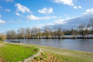 Villas La Petite Maison au calme - 2 chambres - a 200m des Bords de Loire : photos des chambres