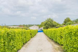 B&B / Chambres d'hotes A la beun-escale : photos des chambres