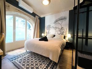 Appartements Le Leon - Hypercentre : photos des chambres