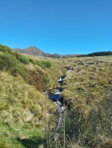 Maisons de vacances Domaine des Hiboux : photos des chambres