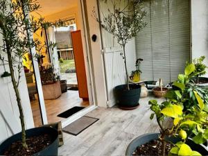 Maisons de vacances Domaine des Montots - Le Cottage : photos des chambres
