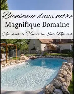 Le Domaine de Baracas 4 étoiles - Le Grand et le Petit Gîte - piscine-SPA-billard-baby-foot-cheminée - 18 personnes - Saint-Denis-en-Val