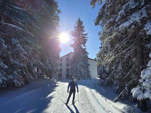 Apartment Belmont Seegarten by Interhome