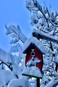 Apartment Ferienwohnung Gehrihorn by Interhome