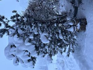 Apartment Ferienwohnung Gehrihorn by Interhome