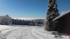 Cihlářská bouda, apartmán 307