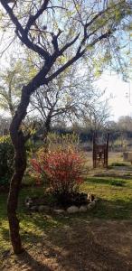 Cabaña particular no complejo