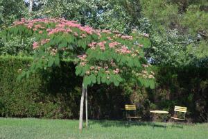Villas Villa avec Piscine chauffee et parc arbore situee a 100 m de la Plage et Foret sans vis a vis : photos des chambres