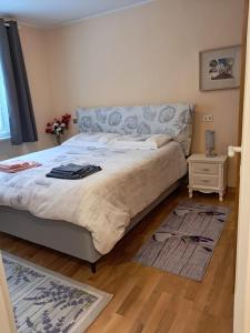 Appartamento rinnovato centralissimo a Cervinia