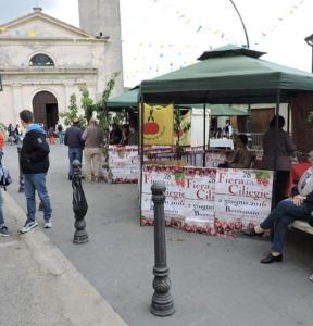 LaCiliegia monolocale img30