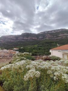 Apartamento Rústico