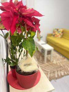 Piso completo a 5 minutos del metro linea 5 verde