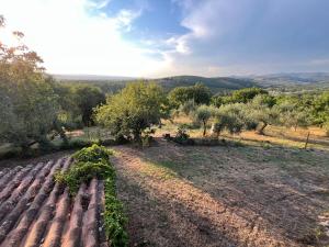Casale Delle Querce farmhouse in Giove Umbria with pool