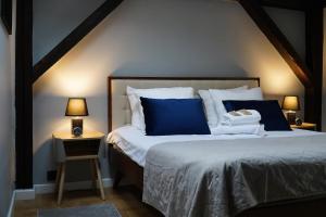 Astronomica na Kopernika