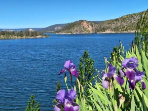 Casa Rural La Labranza