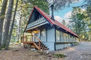 Tiny Timber - Nisqually Vista