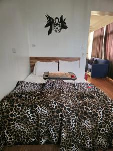 Pyramids Paradise icon