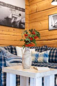 Domki nad jeziorem Widokowo