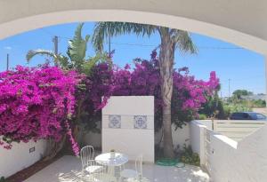 WOW Casa vacanza il Rosmarino