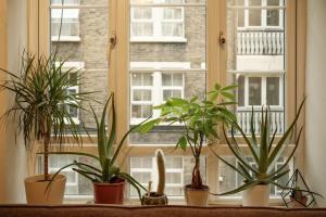 Affordable Apartment in Marylebone, entire space