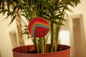 Affordable Apartment in Marylebone, entire space