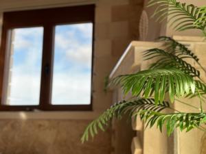 Cretan Nature Stone Apartment