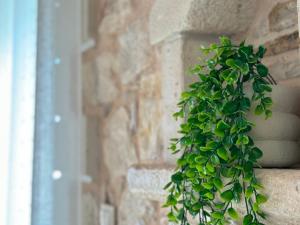 Cretan Nature Stone Apartment