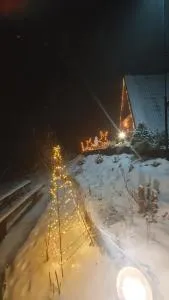 Cabană A-Frame Bran - Sohodol